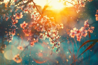 Tu Bishvat