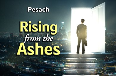 Pesach – Rising from the Ashes