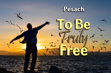 Pesach – To Be Truly Free