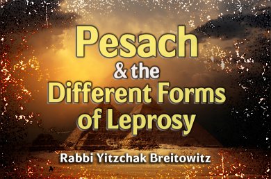 Pesach and the Different Forms of Leprosy