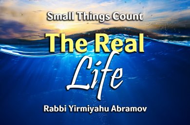 Small Things Count – Episode 5 – The Real Life