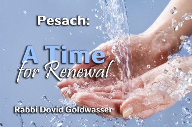 Pesach – A Time for Renewal