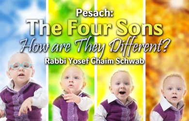 Pesach – The Four Sons – How are They Different?