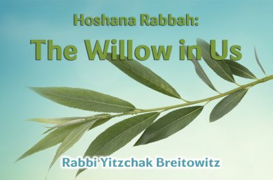 Hoshana Rabbah – The Willow in Us