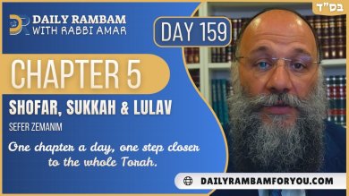 What Makes Schach Kosher? The Rambam’s Laws of the Sukkah