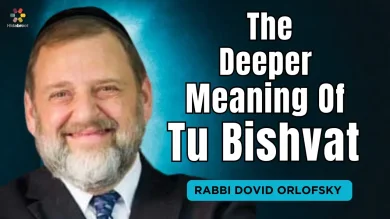 The True Meaning Of Tu Bishvat