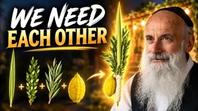 Sukkot and the Power of Jewish Unity