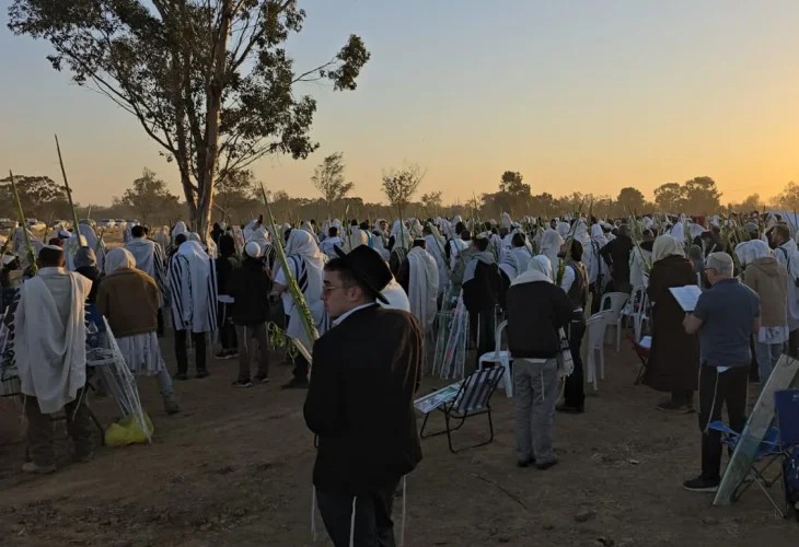Hoshana Rabbah prayers at sunrise with the Four Species. Photo: Forum Tikva