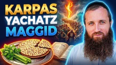 Passover Seder Secrets: Deep Mystical Insights - Part 2 - Rabbi Eli Deutsch