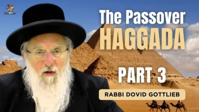 The Passover Haggadah Part 3